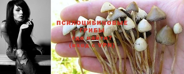 круглые Кодинск