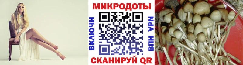 Галлюциногенные грибы MAGIC MUSHROOMS  Грозный 