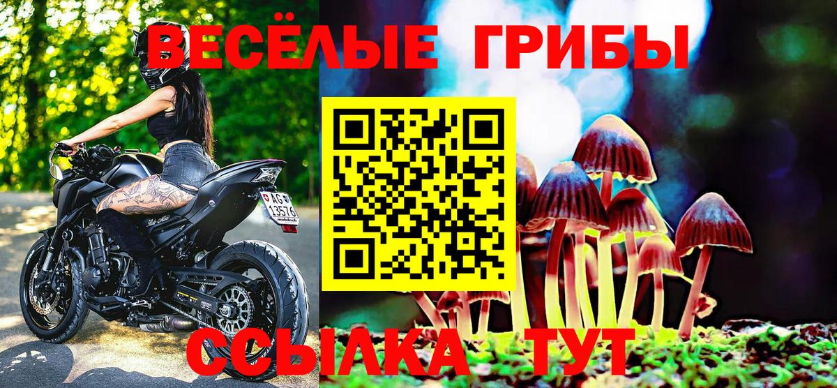 Галлюциногенные грибы GOLDEN TEACHER  Грозный 