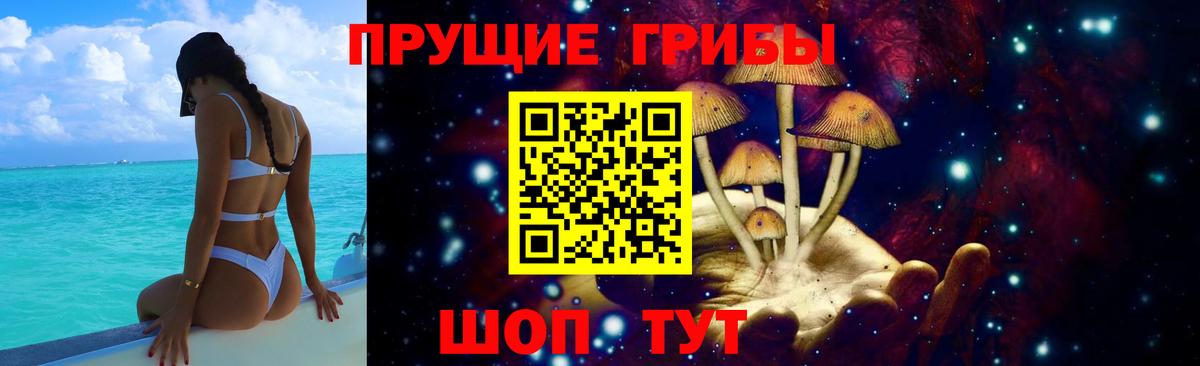 Грозный  Галлюциногенные грибы Cubensis  Вход с VPN 